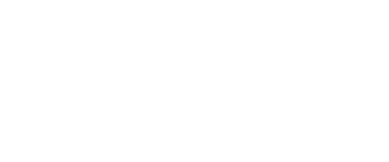 Ansen Logo Orange one line-01 white